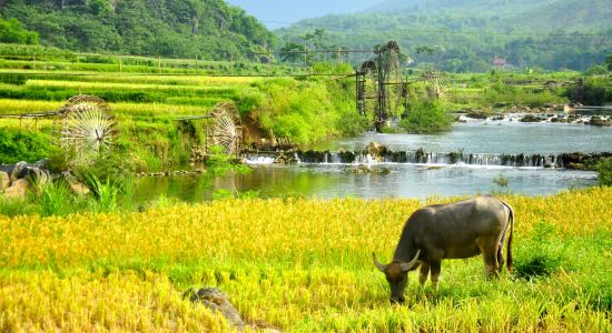 Hình ảnh của MAI CHAU - PULUONG - NINH BINH 3D2N