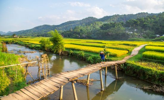 Hình ảnh của MAI CHAU - PULUONG - NINH BINH 3D2N