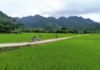 Hình ảnh của MAI CHAU - PULUONG - NINH BINH 3D2N