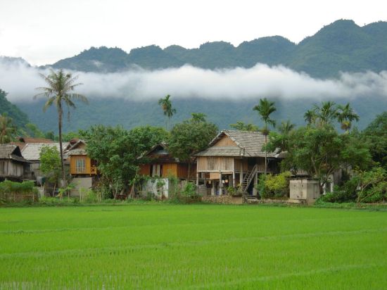 Hình ảnh của MAI CHAU - LUXURY DAY TOUR